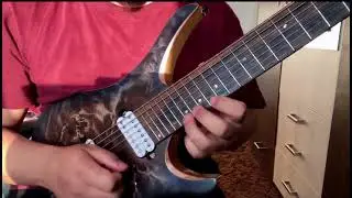 Champagne - Polyphia  (Tim Henson's solo)