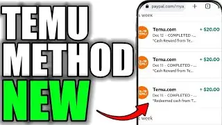 $20/HOUR ON TEMU! (NEW METHOD)