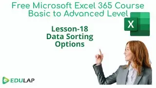 How Data Sorting Options works in Microsoft Excel