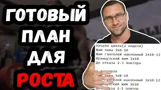 Пример периодизации для роста мышц