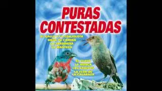 Halcones y Palomas - Puras Contestadas (Disco Completo)