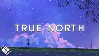 ARMNHMR - True North (ft. Dia Frampton)| Melodic Bass