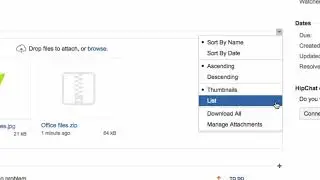 Accessing A ZIP Files Contents - Learn Atlassian Jira #20