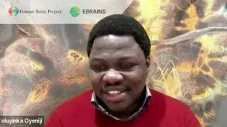 HBP Young Researchers - 