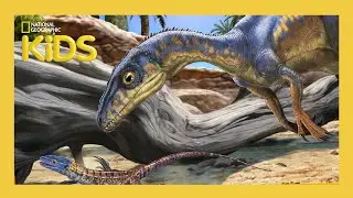 Dig in to DinoMAYnia! | @natgeokids