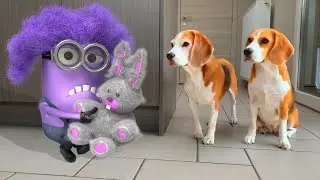 🍌💜DOGS vs PURPLE MINION DAVE IN REAL LIFE 💜🍌 Funny Dogs Louie & Marie