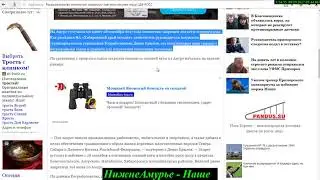 [НН] Росрыболовство полностью запретило лов кеты на реке Амур