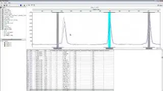 Calibrating Panels in GeneMarker®