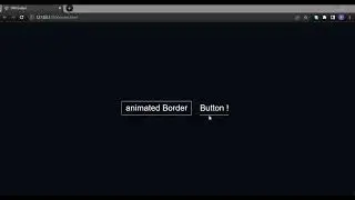 Animated Border Button | SVG Animation