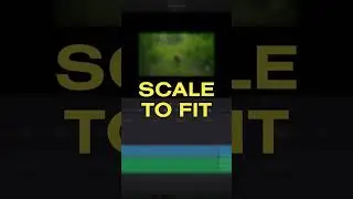 Scale to Frame Size in DaVinci