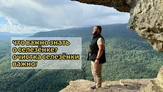 функция селезёнки/ очистка селезёнки / www.medbka.ru