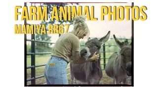 Mamiya RB67 | Farm Animal Photos