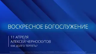 10.04.2022 | Общецерковное Богослужение | 9.00 | Алексей Черноскутов | Как долго терпеть?