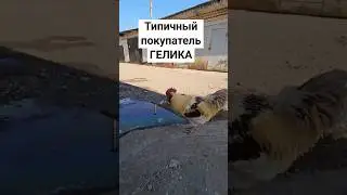 Типичный покупатель гелика #highlights #гелик