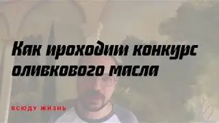 Как профессионалы выбирают лучшее оливковое масло