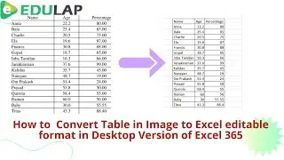 How to Convert Table in Image to Excel Editable Format in Desktop Version