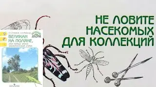 Не ловите насекомых для коллекций. Великан на поляне