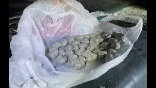 Закладчик мефедрона пытался убежать