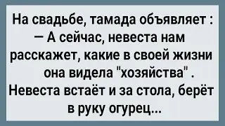 Как Невеста Огурцом Гостей Напугала! Сборник Свежих Анекдотов! Юмор!