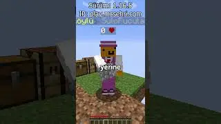 Minecraft Sunucumda Bir Arkadaş Edindim?! ⛏💎 