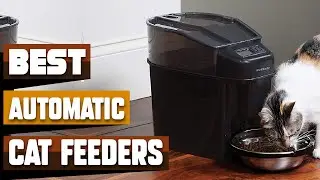 Best Automatic Cat Feeders In 2024 - Top 10 Automatic Cat Feeders Review