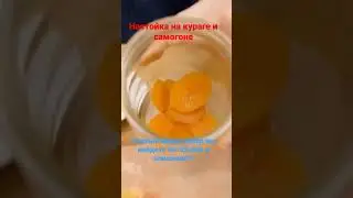 Настойка на самогоне и кураге