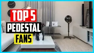 Top 5 Best Pedestal Fans in 2024