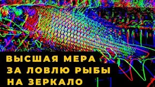 За этот злостный  браконьерский  метод ловли в некоторый странах дают высшую меру