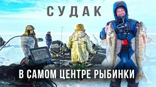 ЧТО МОЖНО ПОЙМАТЬ НА СЕРЕДИНЕ РЫБИНКИ В СЕРЕДИНЕ ЗИМЫ  - ЧЕСТНАЯ ДВУХДНЕВНАЯ РЫБАЛКА.