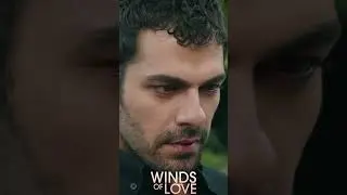 Halil, Zeynep'in tehdit edildiğini nasıl anladı? | #windsoflove #shorts #ruzgarlitepe #turkishseries