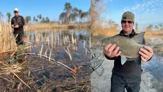 РЫБАЛКА на БОКОВОЙ КИВОК ЛЕЩИ кабаны