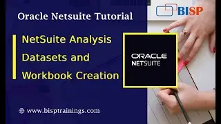 NetSuite Analysis Datasets and Workbook Creation | NetSuite Analysis Tutorial | NS Analysis Basics