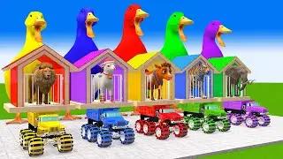 5 Giant Duck Cartoon,Tiger,Cow,Sheep,Gorilla,Elephant,Lion,Cat Wild Animals Crossing Fountain 2023