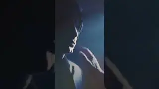 История Леона