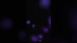 I made an album - here's a sample of one song