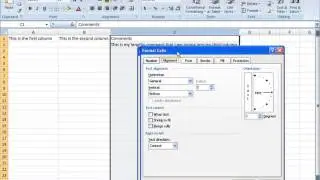 Excel How-To: Entering Text and Text Wrapping