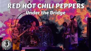 Red Hot Chili Peppers - Under the Bridge - Darien Lake, NY 7/12/2024