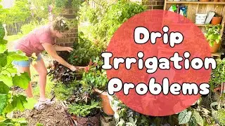 💦PROBLEMS With Drip Irrigation & Getting Organized In The Garden || Summer Gardening