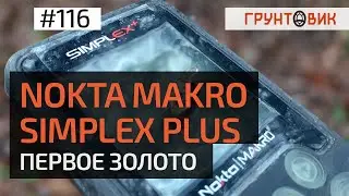 Nokta Makro Simplex plus. Первое золото