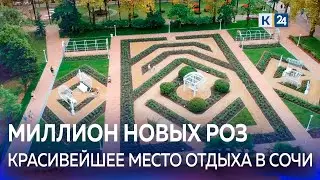 В Сочи открылся обновленный розарий в парке «Ривьера»