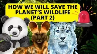 5 Steps Needed To Save Earth's Wildlife Pt. 2 [WARNING: CONTROVERSIAL]