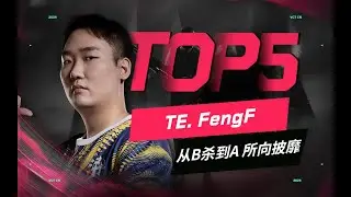 VCT CN Stage 1 Week2 Day2 - TOP5