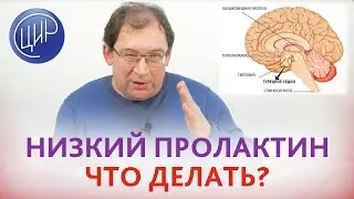 Низкий пролактин из-за достинекса. Что делать и как влияет на организм низкий пролактин.