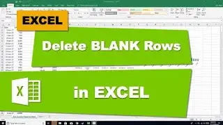 Delete Blank Rows in Excel