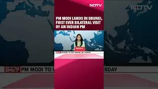 PM Modi Latest News Today | PM Modi Lands In Brunei, First Ever Bilateral Visit By An Indian PM