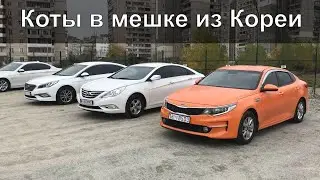 КАКИЕ АВТО ПРИХОДЯТ ИЗ КОРЕИ? KIA K5, HYUNDAI SONATA LPI