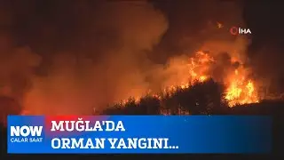 Muğlada orman yangını... 8 Ağustos 2024 Çalar Saat