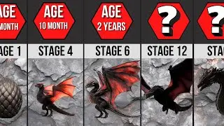 Evolution Of Balerion | By Stages | House of the Dragon