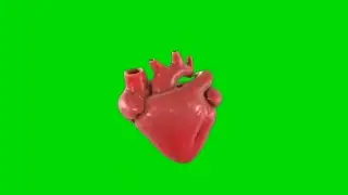green screen effect dill