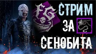 Стрим за Сенобита